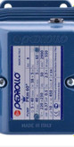 Pedrollo water pump
