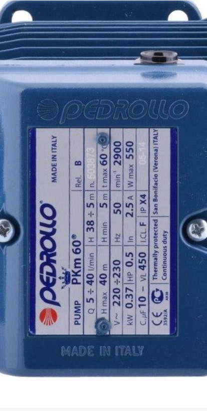 Pedrollo water pump